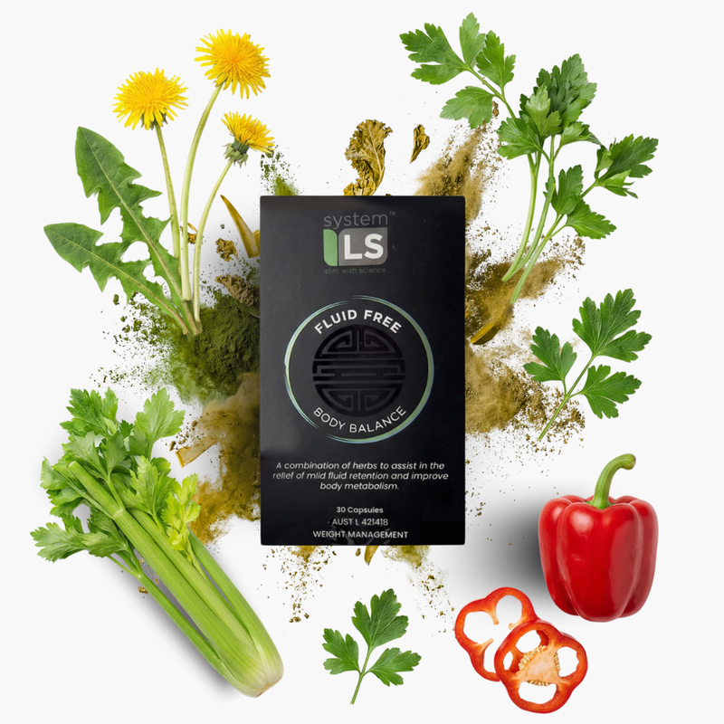 Herbal Fluid Free Body Balance - SystemLs