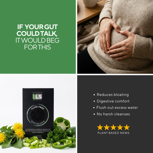 Herbal Fluid Free Body Balance - SystemLs