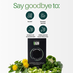 Herbal Fluid Free Body Balance - SystemLs