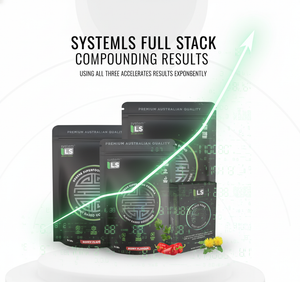The SystemLS Full Stack