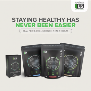 The SystemLS Full Stack