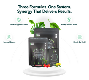 The SystemLS Full Stack